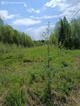 Участок в Сыктывкар, улица 11-я Линия (14 м)