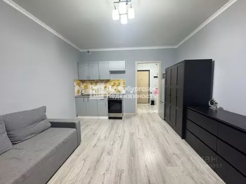 Студия Санкт-Петербург ул. Плесецкая, 10 (22.9 м)