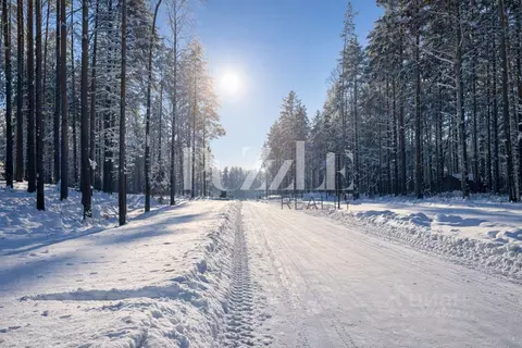 Участок, 25 сот., поселения (ижс)