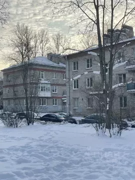 1-к кв. Санкт-Петербург ул. Лазо, 8к3 (30.6 м)