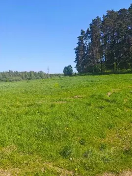 Участок в Московская область, Рузский муниципальный округ, д. Орешки  ...