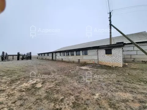Производственное помещение в Волгоградская область, Светлоярский ...