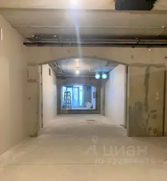 Помещение свободного назначения в Санкт-Петербург Гороховая ул., 47 ...