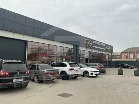 Помещение свободного назначения в Краснодарский край, Краснодар 1 Мая ...