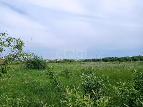 Участок в Тюменская область, Тюменский район, д. Есаулова, Клюква кп  ...