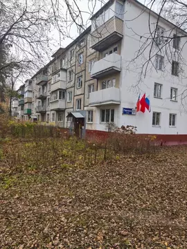 2-к кв. Московская область, Щелково Парковая ул., 17 (42.4 м)