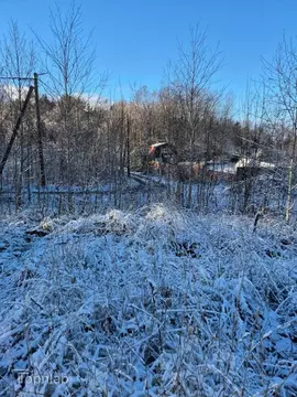 Участок в Ленинградская область, Выборгский район, Первомайское с/пос, ...
