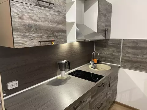 Студия Санкт-Петербург просп. Ветеранов, 173к7 (24.3 м)