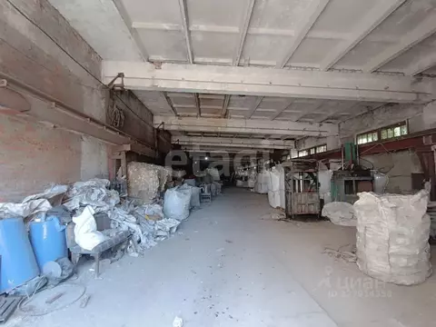 Помещение свободного назначения в Белгородская область, Алексеевка ...