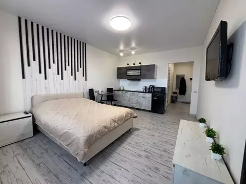 Студия Московская область, Электросталь ул. Захарченко, 12 (28.0 м)