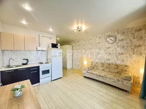 Студия Тюменская область, Тюмень ул. Новоселов, 109 (25.0 м)