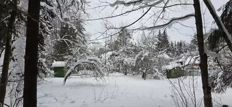 Участок в Московская область, Дмитровский муниципальный округ, ...