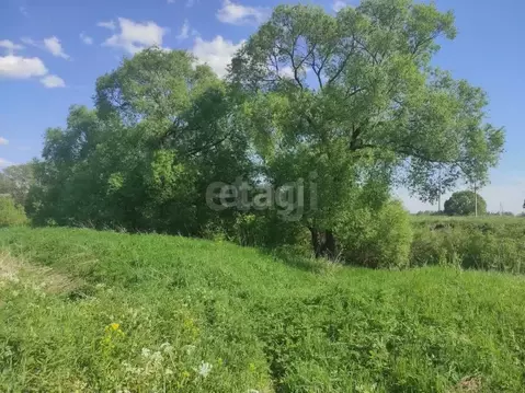 Участок в Ярославская область, Первомайский муниципальный округ, д. ...
