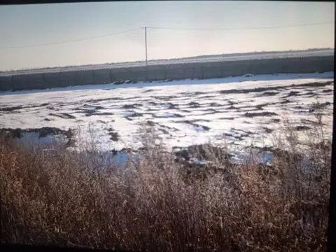 Участок в Амурская область, Благовещенский район, с. Ровное  (29.0 ...