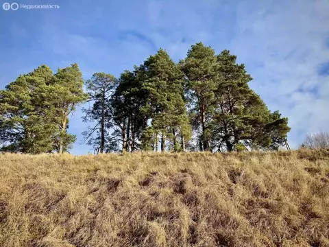 Участок в Московская область, городской округ Ступино, КП Торбеево ...