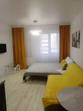 Студия Владимирская область, Владимир ул. Лакина, 2А (28.0 м)