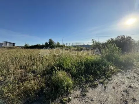 Участок в Тюменская область, Тюменский район, Боровский пгт  (26.0 ...