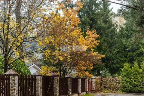 Участок в Московская область, Одинцовский городской округ, Лесной ...