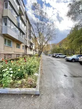 Офис в Приморский край, Дальнегорск Пионерская ул., 1 (12 м)