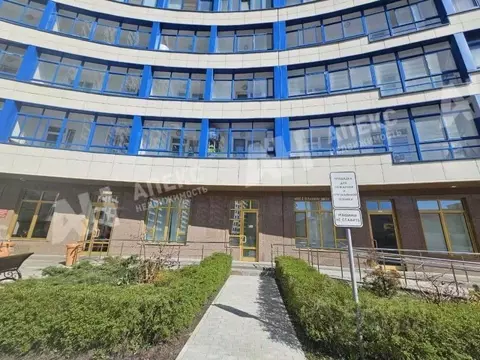 Помещение свободного назначения в Москва ул. Наметкина, 18 (125 м)