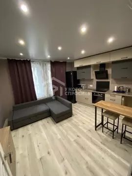 Студия Санкт-Петербург Усть-Славянка тер., ул. Заводская, 15 (25.5 м)