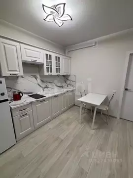 Студия Воронежская область, Воронеж ул. Ломоносова, 116А (30.0 м)