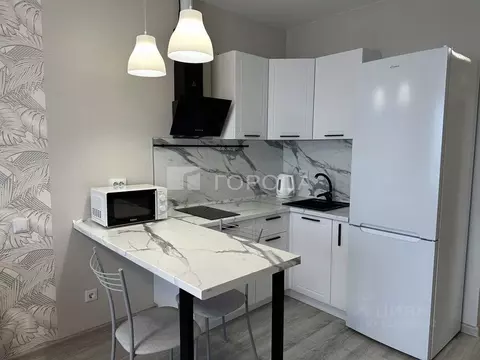 Студия Новосибирская область, Новосибирск ул. Державина, 50 (30.0 м)