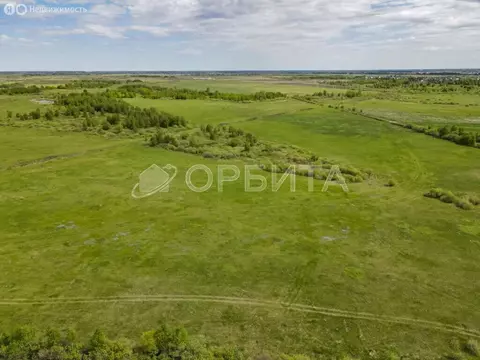 Участок в Тюменский муниципальный округ, село Ембаево (159 м)