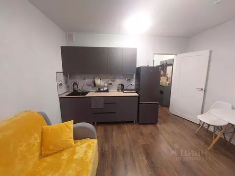 Студия Санкт-Петербург ул. Пахомовская, 26 (17.3 м)