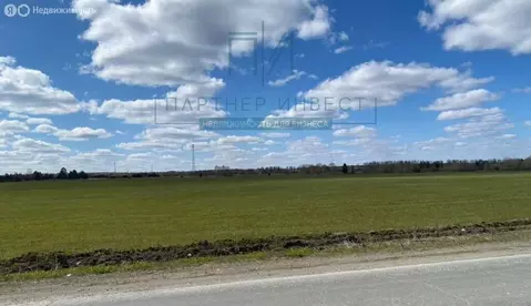 Участок в Нижнесергинский район, Дружининское городское поселение (10 ...