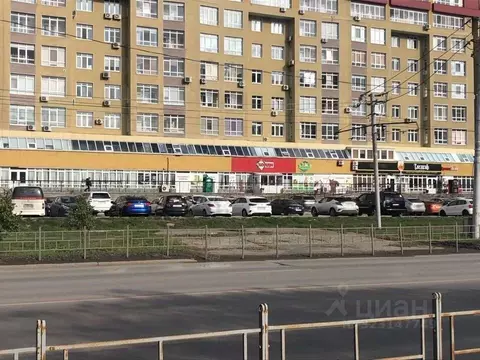 Торговая площадь в Омская область, Омск ул. Маршала Жукова, 107 (12 м)