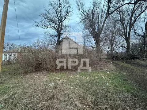 Участок в Ростовская область, Неклиновский район, Советка сл. Школьная ...