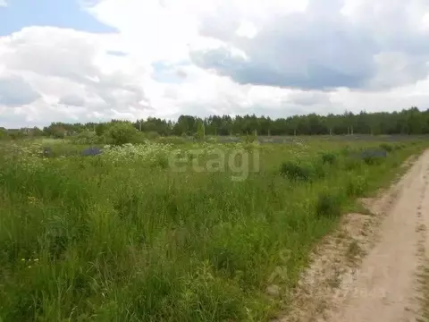 Участок в Нижегородская область, Городецкий муниципальный округ, с. ...