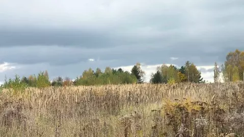 Участок в Московская область, Кашира городской округ, д. Колтово  ...