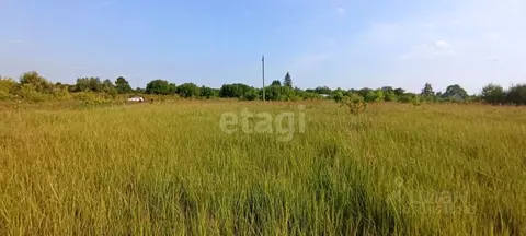 Участок в Владимирская область, Муром с. Борисоглеб,  (15.1 сот.)