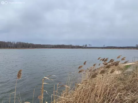 Участок в Московская область, муниципальный округ Лотошино, деревня ...