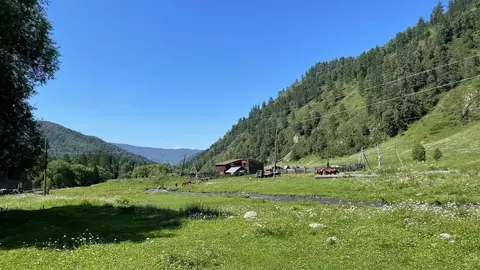 Участок в Алтай, Чемальский район, Элекмонарское с/пос, пос. Каракол  ...