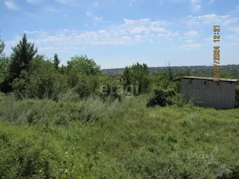 Участок в Волгоградская область, Волгоград Мичуринец СНТ, 74 (15.0 ...