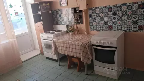 Студия Тюменская область, Тюмень ул. Котовского, 13 (17.3 м)