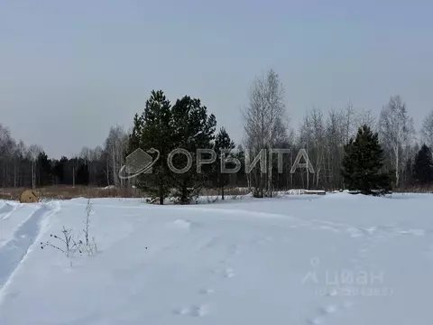 Участок в Тюменская область, Нижнетавдинский муниципальный округ, с. ...