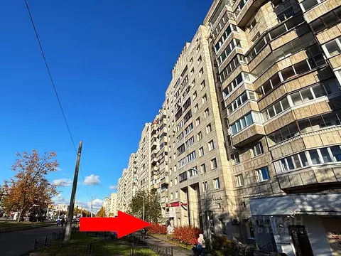 Помещение свободного назначения в Санкт-Петербург просп. Энгельса, ...