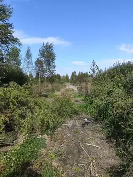 Участок в Тюменская область, Тюмень Поле Чудес садовое товарищество, ...