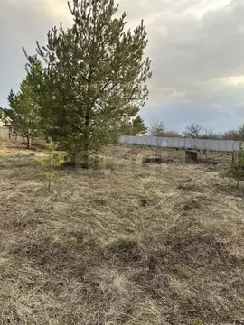 Участок в Белгородская область, Яковлевский муниципальный округ, СОСН ...