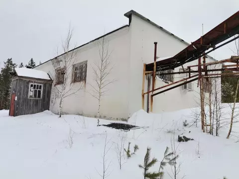 Помещение свободного назначения в Свердловская область, Кушвинский ...