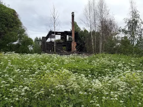 Участок в Ленинградская область, Приозерский район, Сосновское с/пос, ...