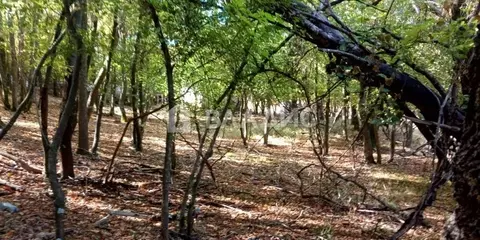 Участок в Краснодарский край, Новороссийск городской округ, с. Широкая ...