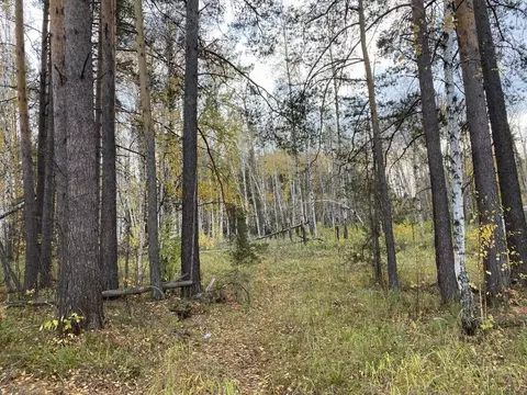 Участок в Свердловская область, Сысертский муниципальный округ, ...