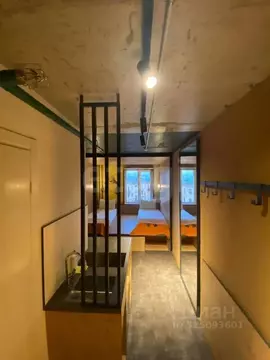 Студия Санкт-Петербург Большой Сампсониевский просп., 74к2 (17.1 м)