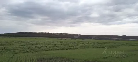 Участок в Саратовская область, Лысогорский район, Большедмитриевское ...