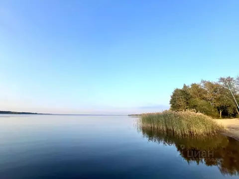 Дом в Санкт-Петербург, Санкт-Петербург, Сестрорецк Разлив СНТ, дорожка ...